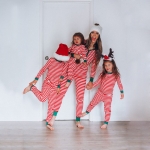 Ensemble de Pyjama Noël Famille à Rayures Décontractée